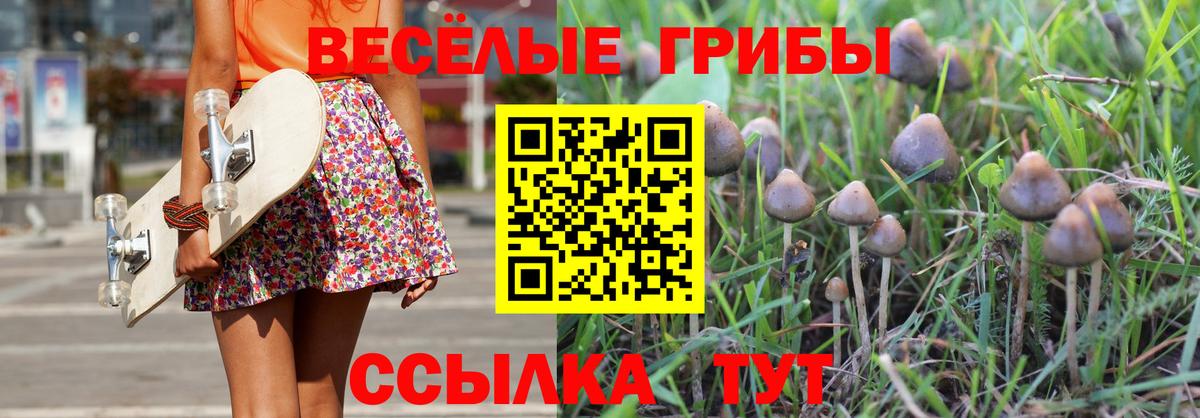Псилоцибиновые грибы GOLDEN TEACHER  Вход с VPN  Сафоново 