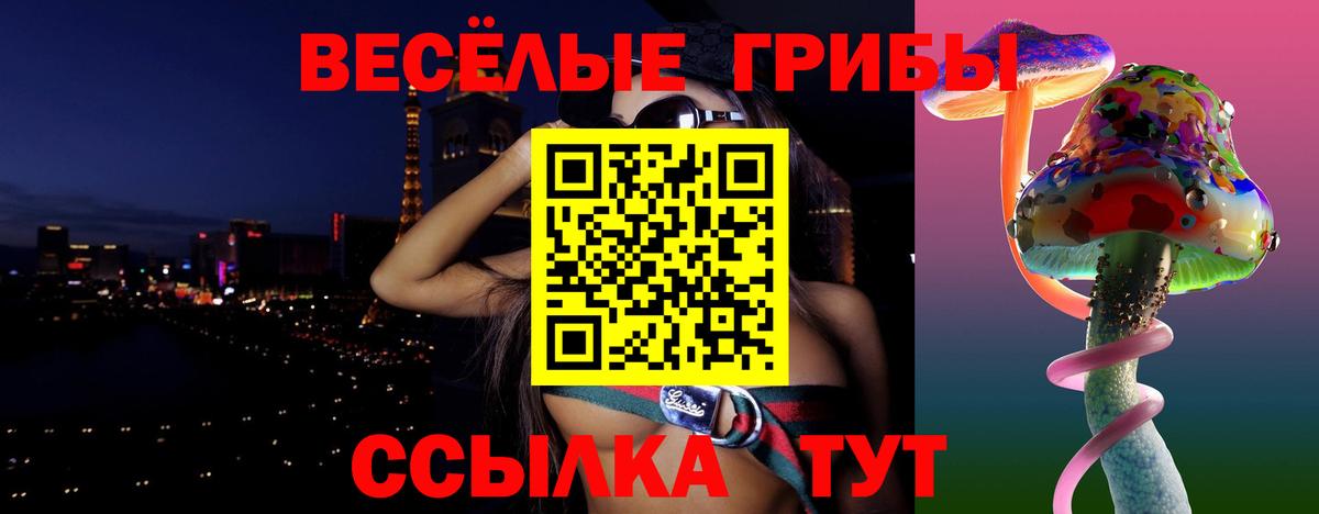 Галлюциногенные грибы Psilocybine cubensis Сафоново